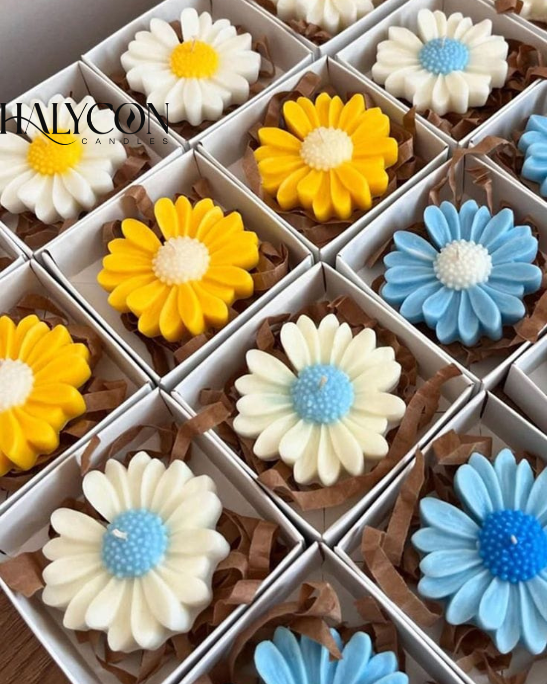Daisy Candle Pack Of 6 | Scented Candles | Floating Candle | Soy Wax