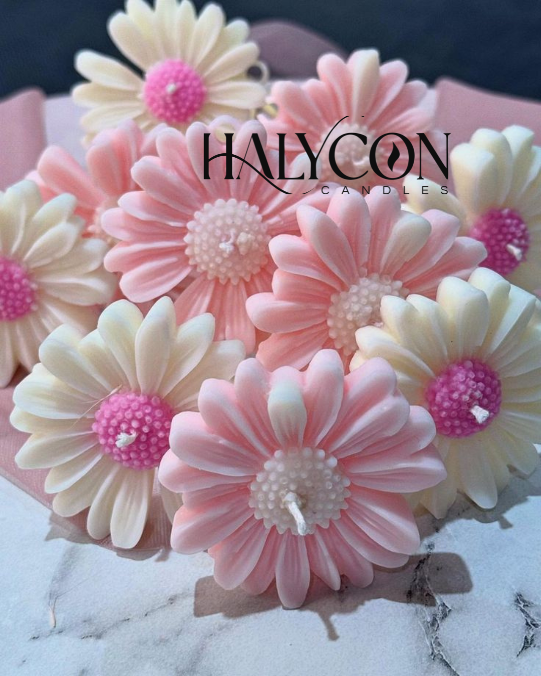 Daisy Candle Pack Of 6 | Scented Candles | Floating Candle | Soy Wax